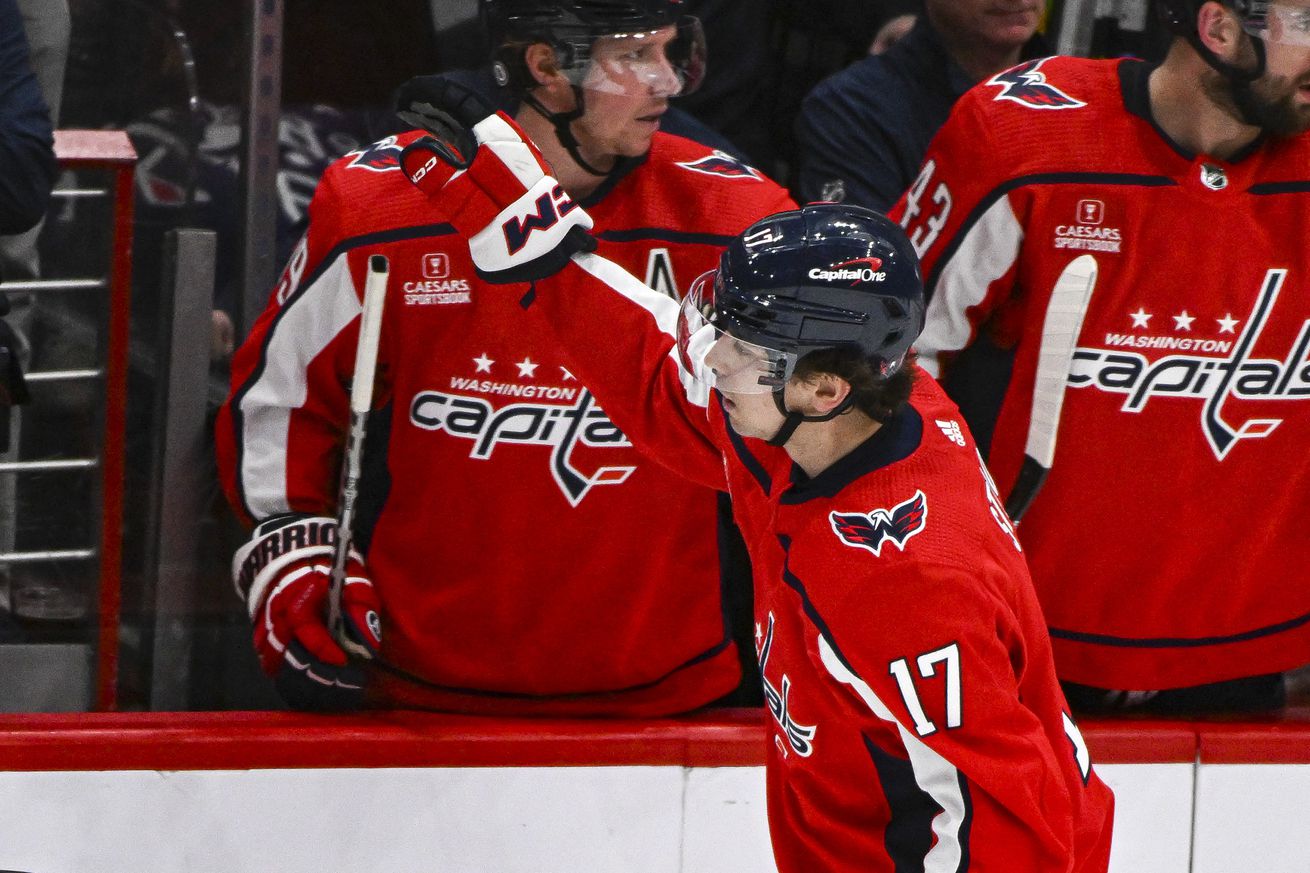 NHL: JAN 17 Wild at Capitals