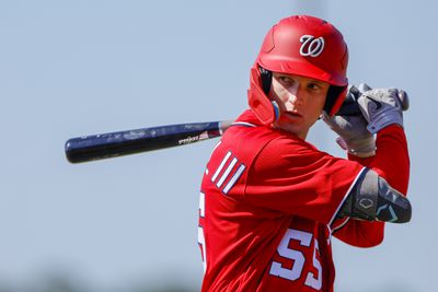 MLB: Spring Training-Washington Nationals Workouts