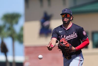 MLB: Spring Training-Washington Nationals at St. Louis Cardinals