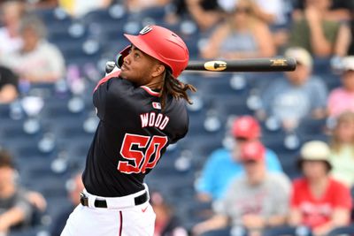 Minnesota Twins v Washington Nationals