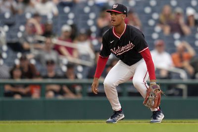 San Francisco Giants v Washington Nationals