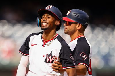 Chicago Cubs v Washington Nationals