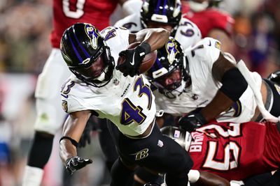 Baltimore Ravens v Tampa Bay Buccaneers