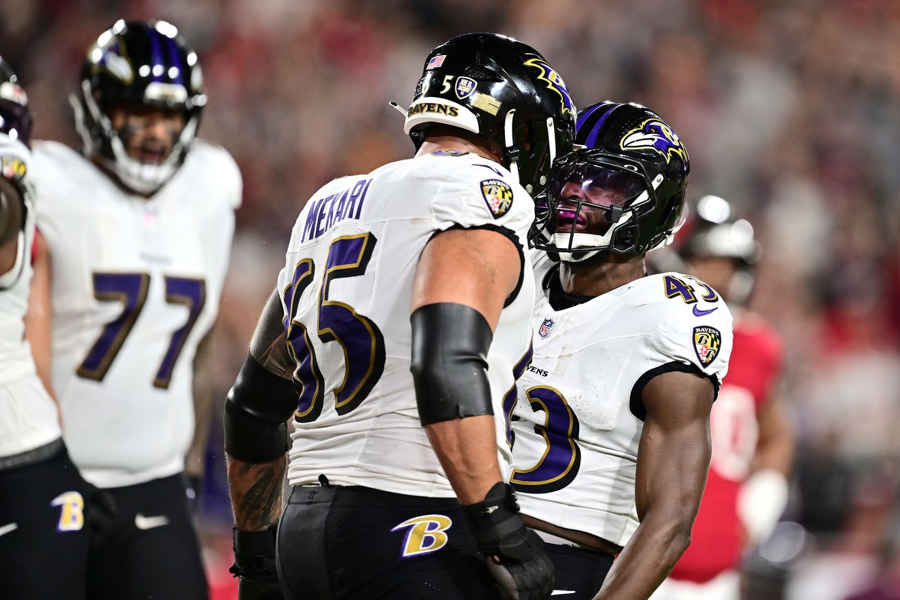 Baltimore Ravens v Tampa Bay Buccaneers