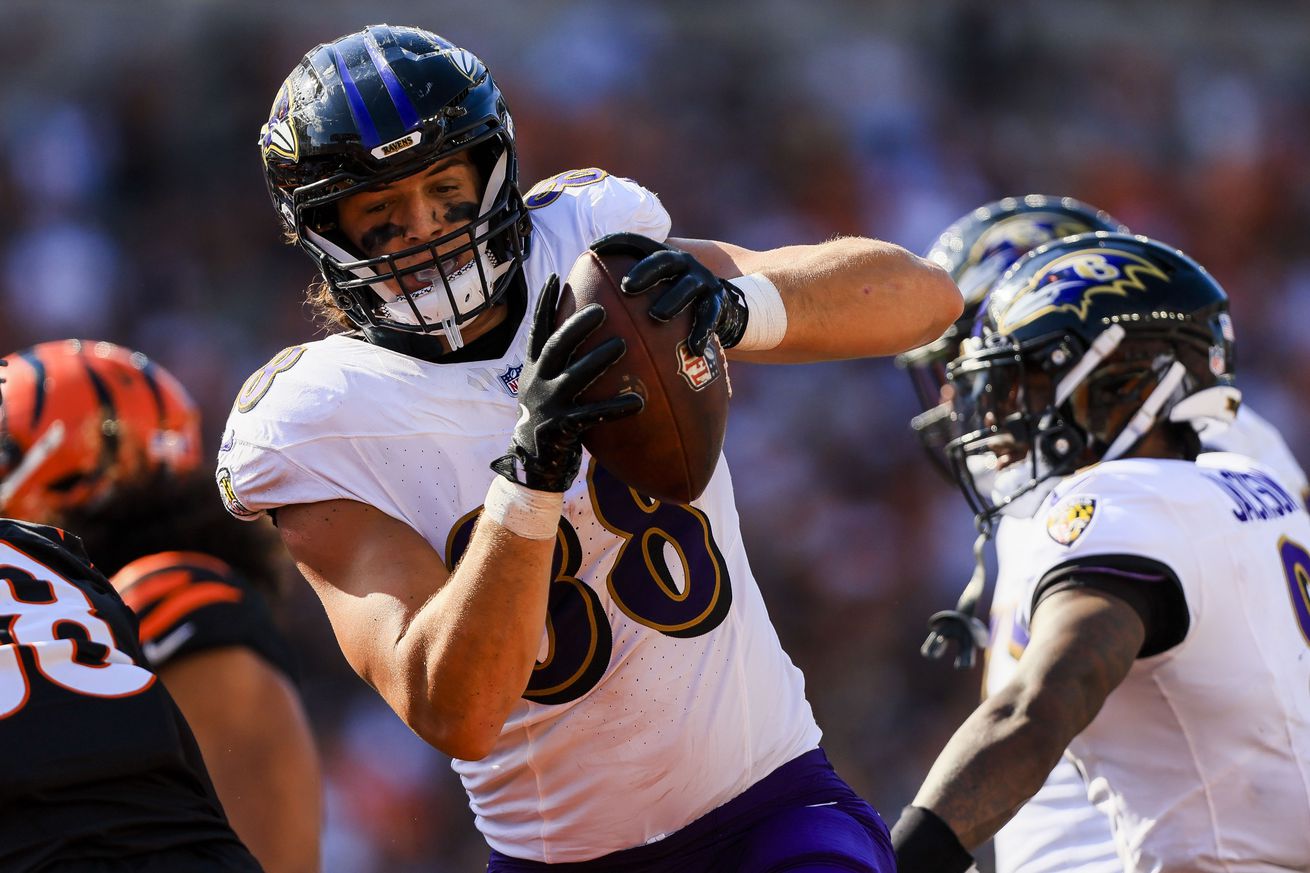 NFL: Baltimore Ravens at Cincinnati Bengals