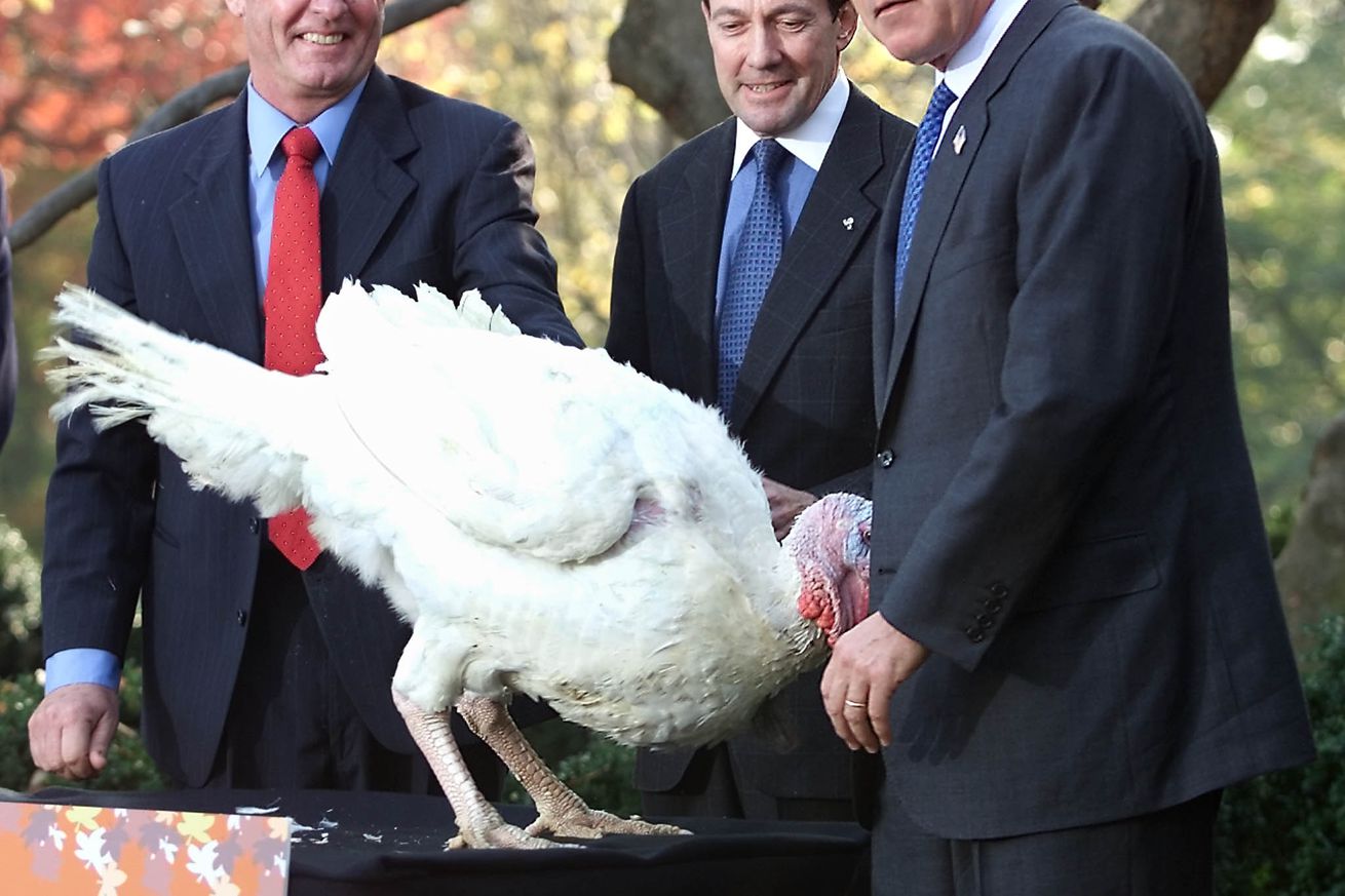 US President George W. Bush(R) joined by turkey fa