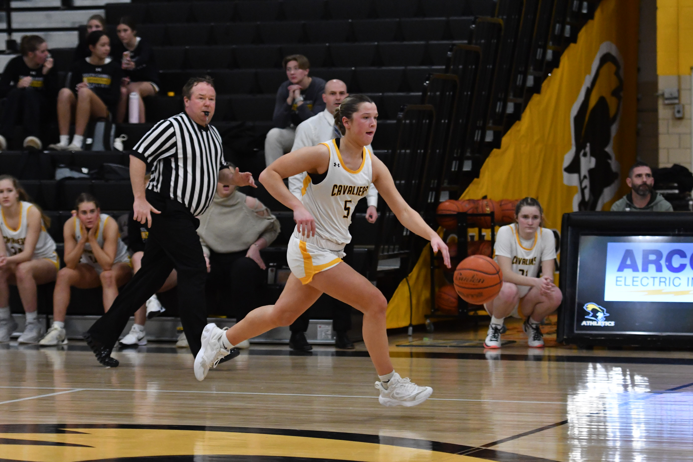 South Carroll's Leah Miller had a game-high 16 points in...