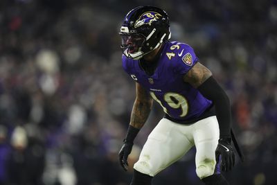 AFC Wild Card Playoffs: Pittsburgh Steelers v Baltimore Ravens