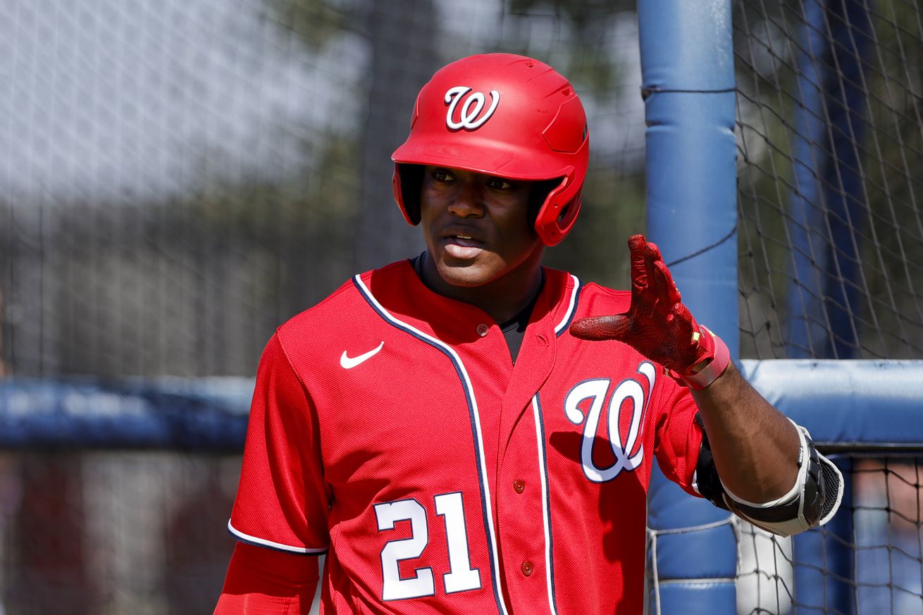 MLB: Spring Training-Washington Nationals Workouts