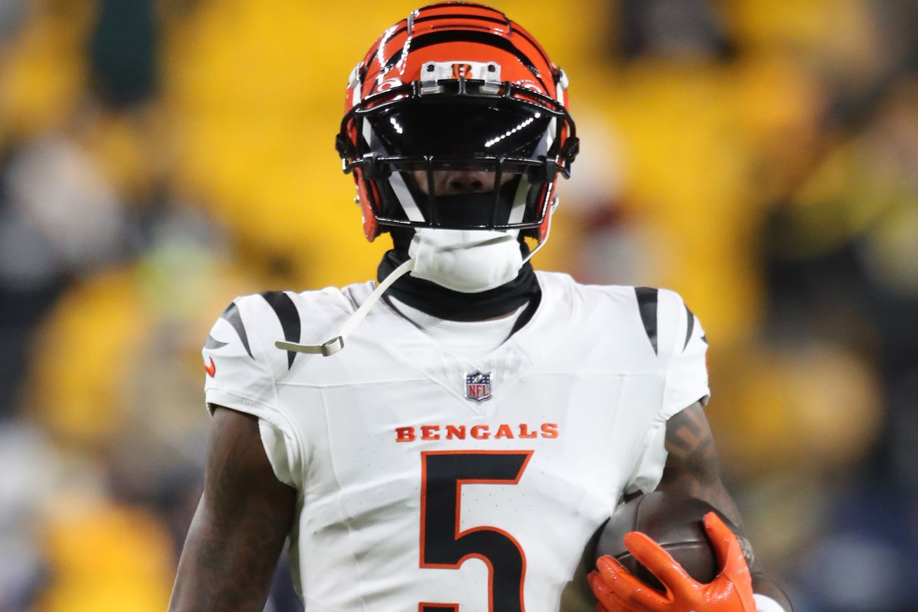 NFL: Cincinnati Bengals at Pittsburgh Steelers