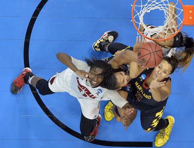 NCAA Womens Basketball: NCAA Tournament-Louisville Regional - Louisville vs Maryland