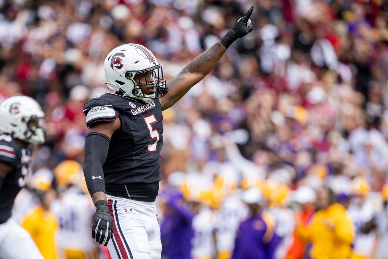 NCAA Football: Louisiana State at South Carolina